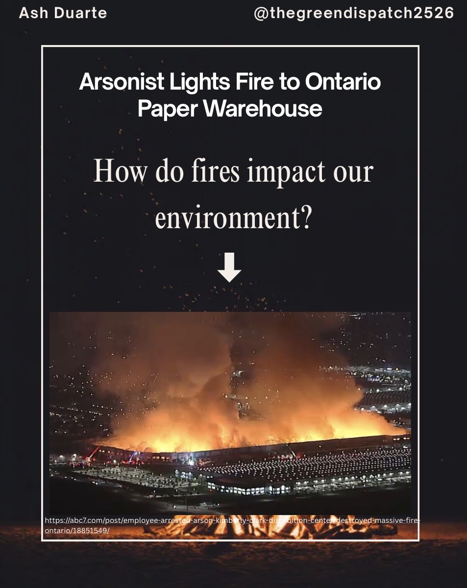 Arsonist Lights Fire to Ontario Paper Warehouse