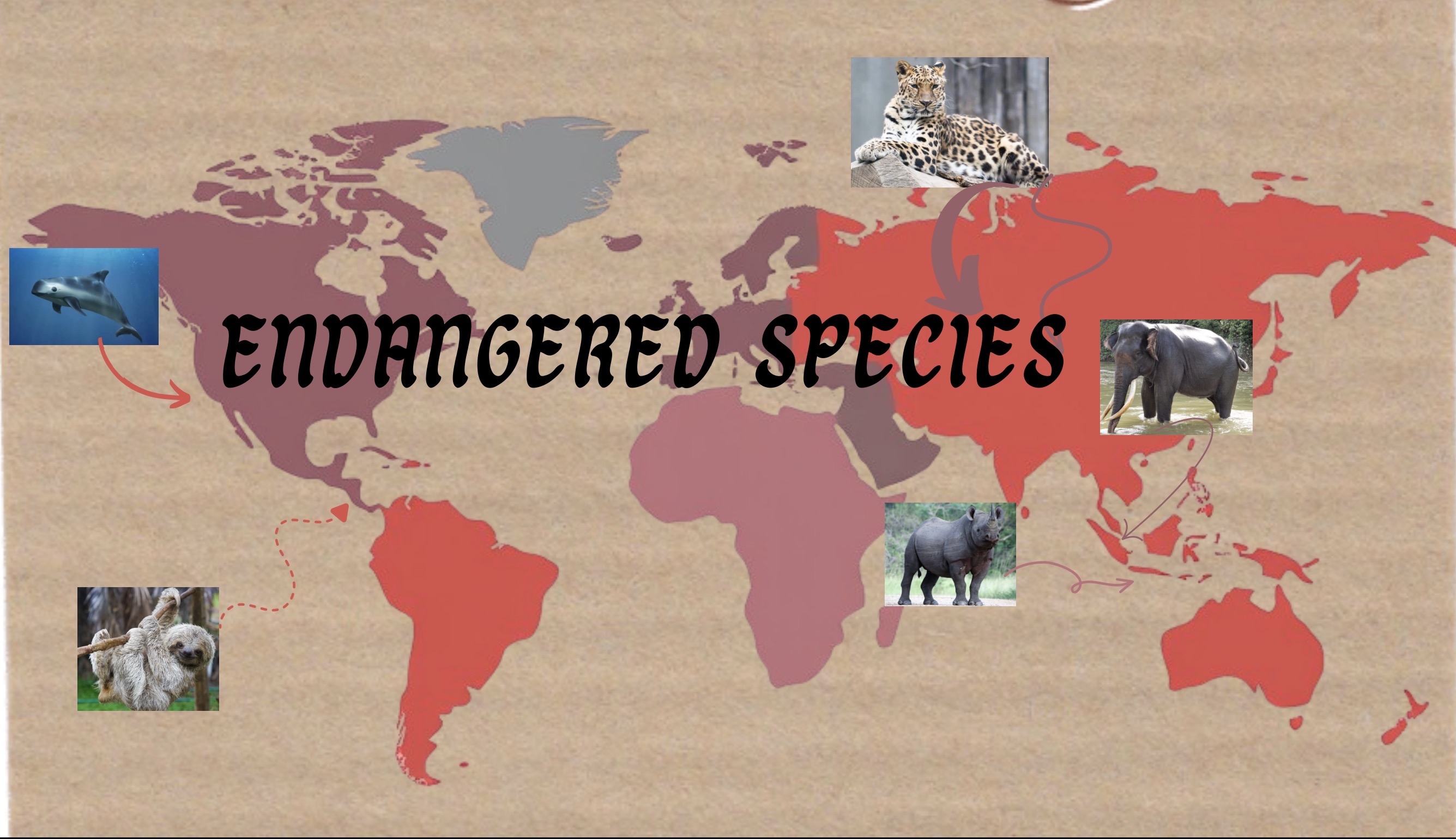 Endangered Species