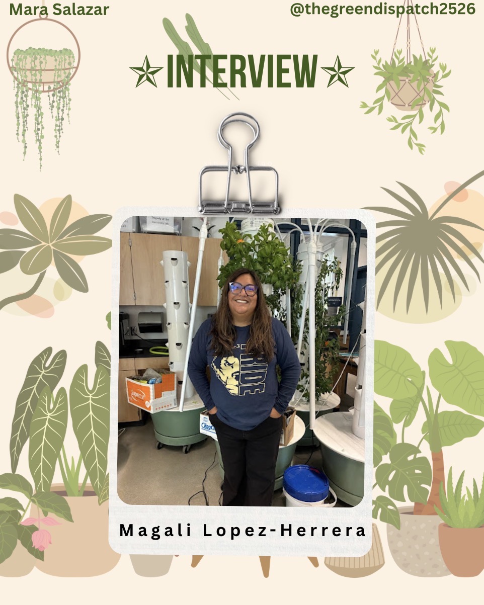 Interview with Magali Lopez-Herrera