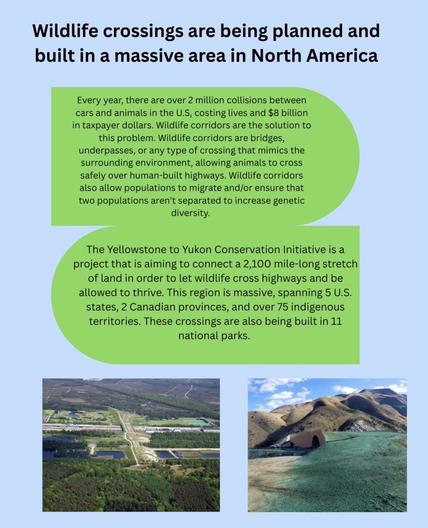 New Wildlife Crossings