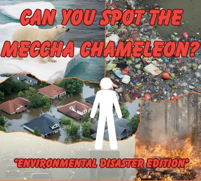Can You Spot the Meccha Chameleon? Environmental Disaster Edition - Slide 1